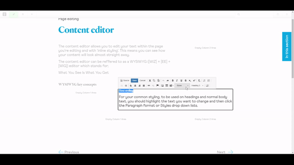 WYSIWYG custom styles editor